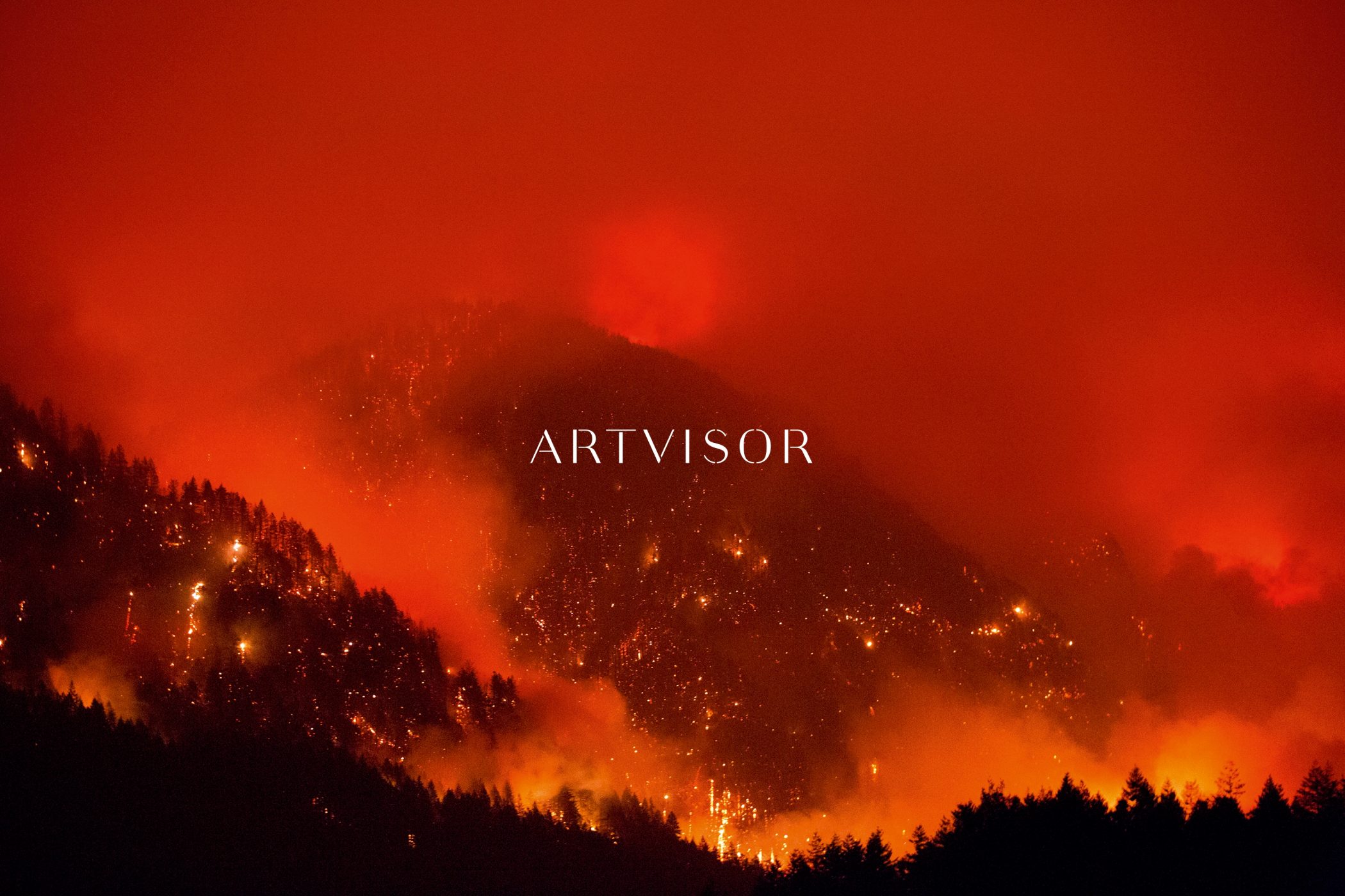 Artvisor 06